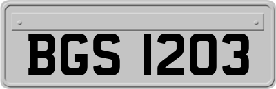 BGS1203