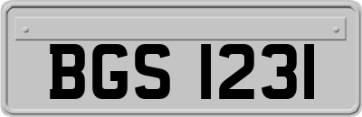 BGS1231