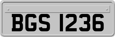 BGS1236