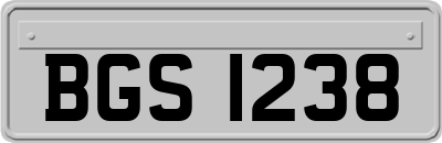BGS1238