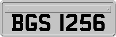 BGS1256