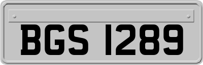 BGS1289