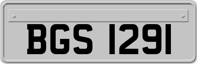 BGS1291