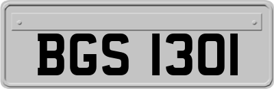 BGS1301