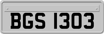 BGS1303
