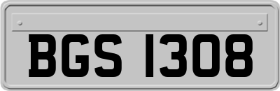 BGS1308