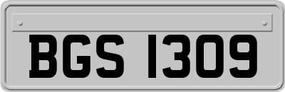 BGS1309
