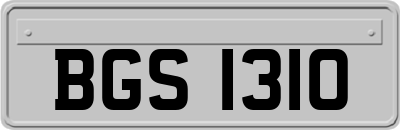 BGS1310