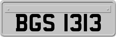 BGS1313