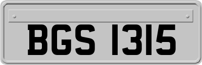 BGS1315