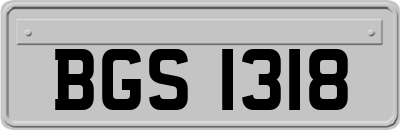 BGS1318