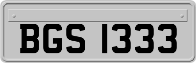 BGS1333