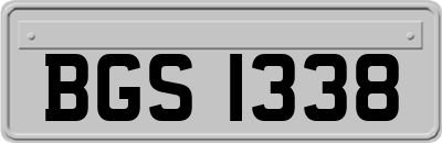BGS1338