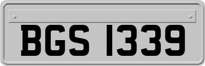 BGS1339