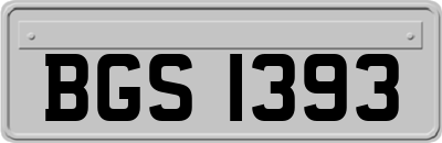 BGS1393