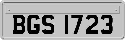 BGS1723