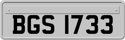 BGS1733