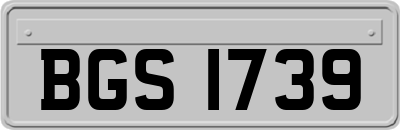 BGS1739