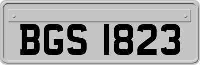 BGS1823