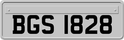 BGS1828