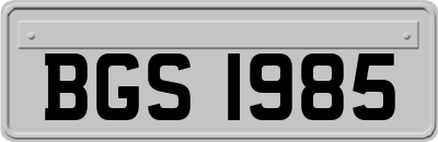 BGS1985