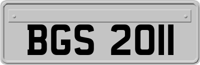 BGS2011