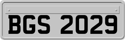 BGS2029