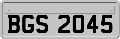 BGS2045