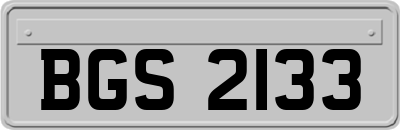 BGS2133