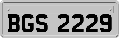 BGS2229