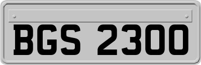 BGS2300
