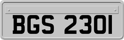 BGS2301