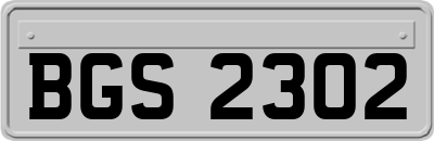 BGS2302