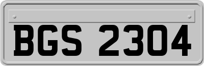 BGS2304