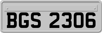 BGS2306