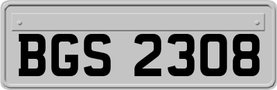 BGS2308