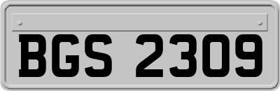 BGS2309