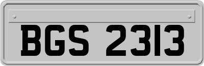 BGS2313