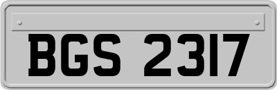 BGS2317