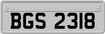 BGS2318