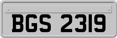 BGS2319