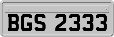 BGS2333