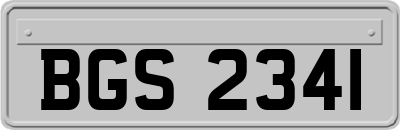 BGS2341