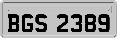 BGS2389