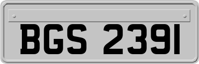 BGS2391