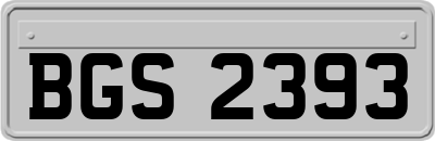 BGS2393
