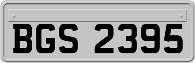 BGS2395