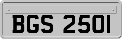 BGS2501