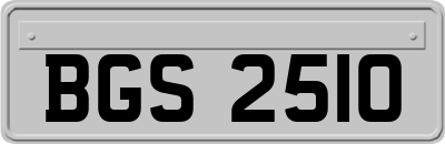 BGS2510