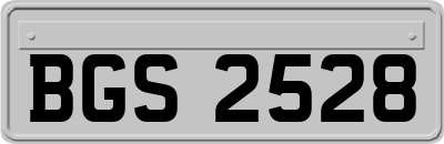 BGS2528